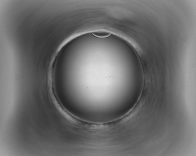 X0000115551526200911131554