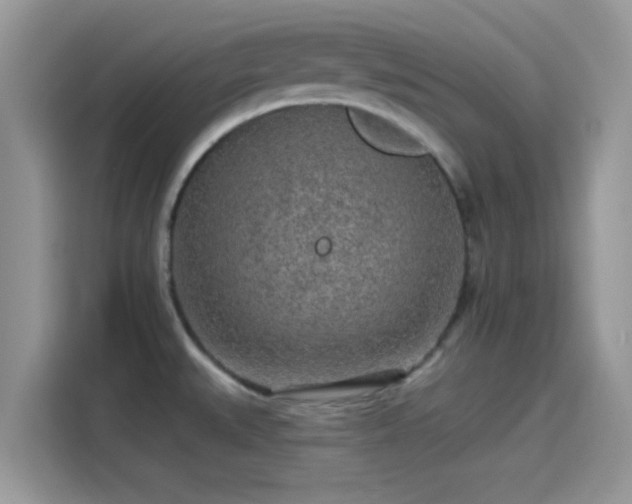 X0000115551527200911131554