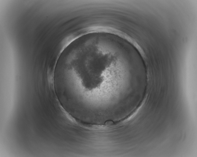 X0000115551529200911131554