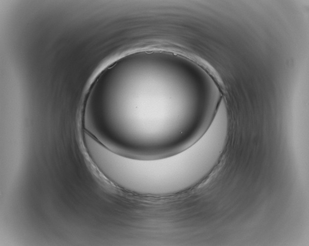 X0000115551530200911131554