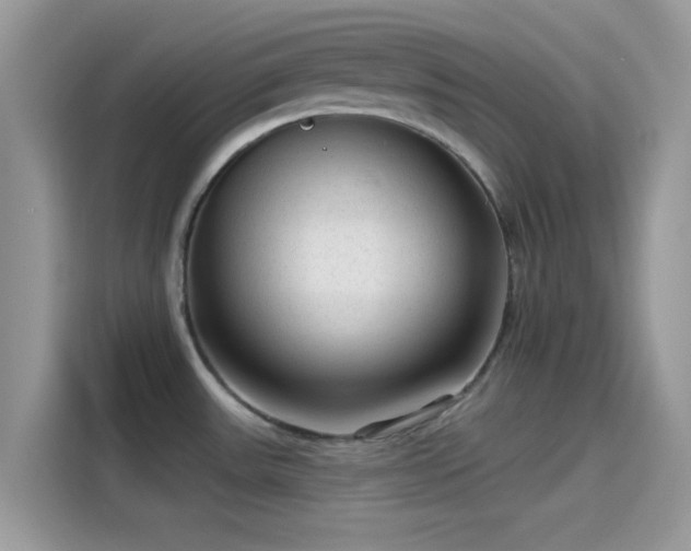 X0000115551531200911131554