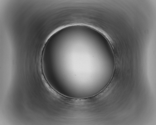 X0000115551534200911131554