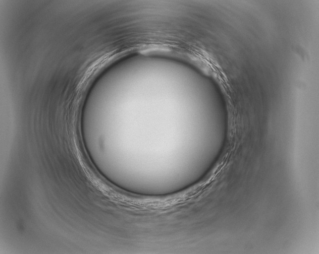 X0000115550001200911201811