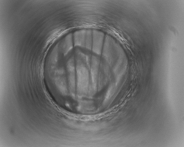 X0000115550002200911201811