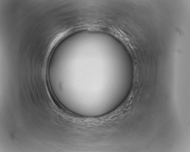 X0000115550003200911201811