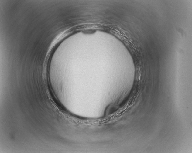 X0000115550004200911201811