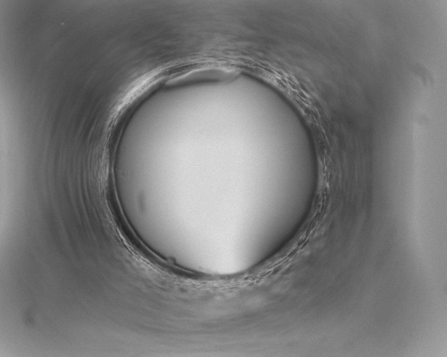 X0000115550005200911201811