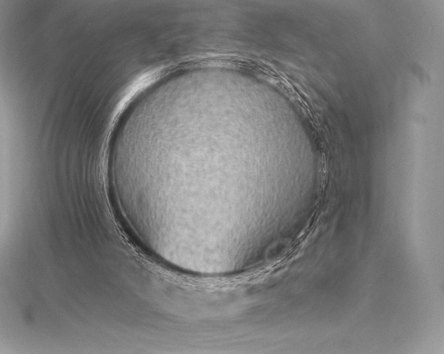 X0000115550006200911201811