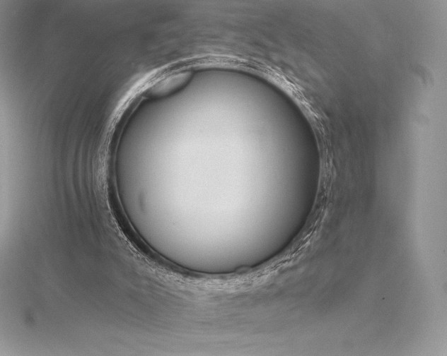 X0000115550007200911201811