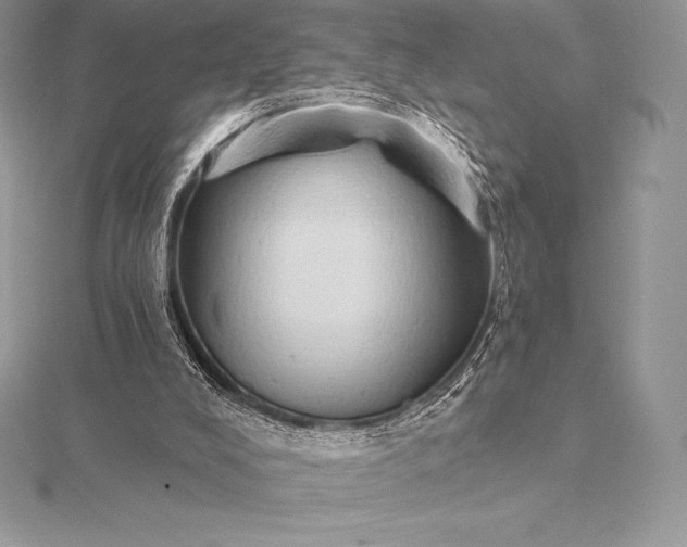 X0000115550008200911201810