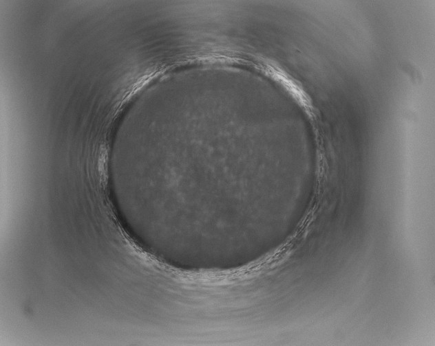 X0000115550009200911201810