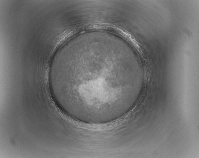 X0000115550010200911201810