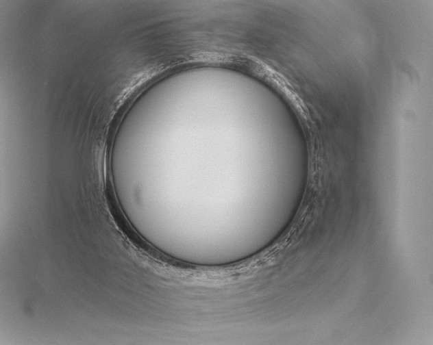 X0000115550011200911201810