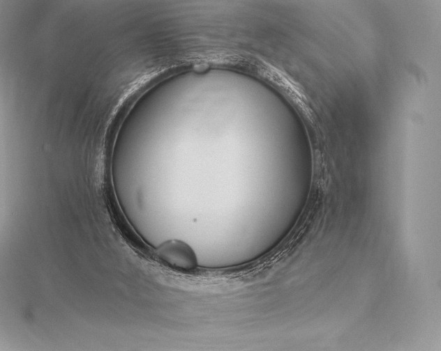 X0000115550012200911201810