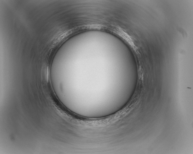 X0000115550013200911201810