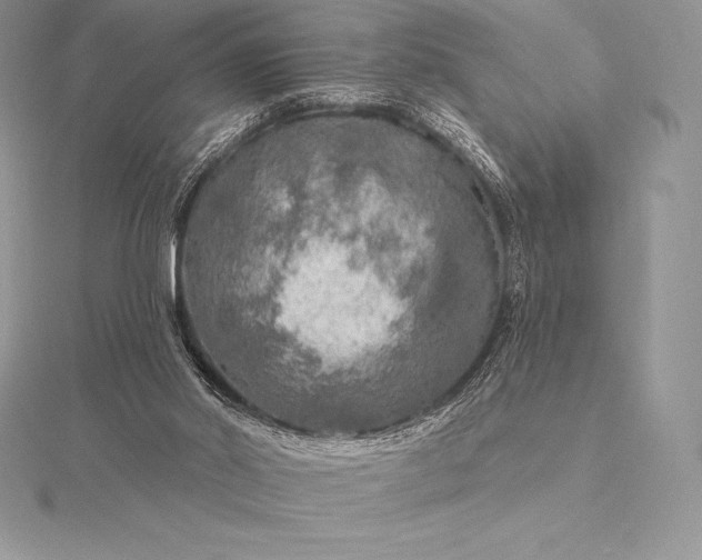 X0000115550014200911201810