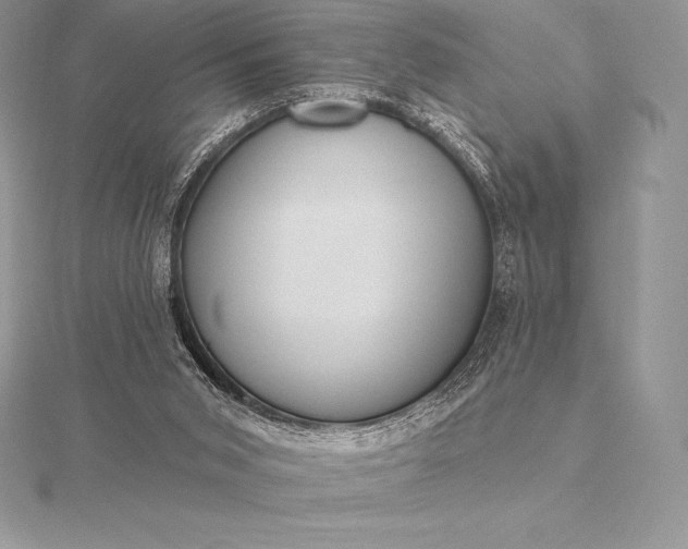 X0000115550015200911201810