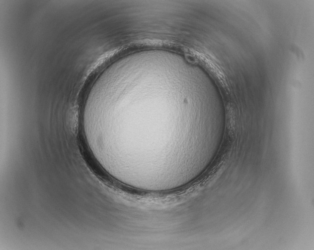 X0000115550016200911201810