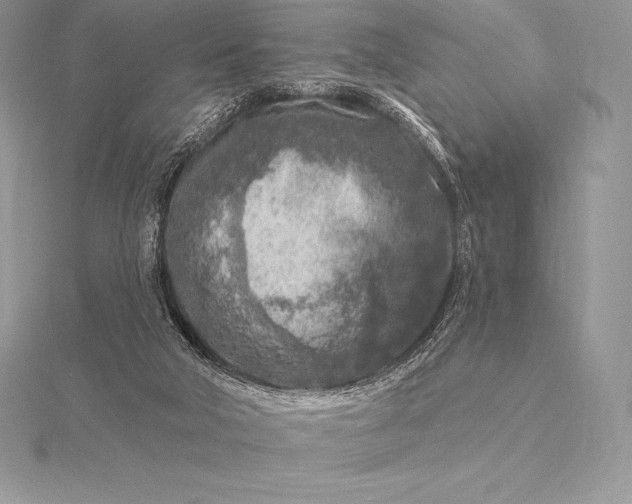 X0000115550018200911201810