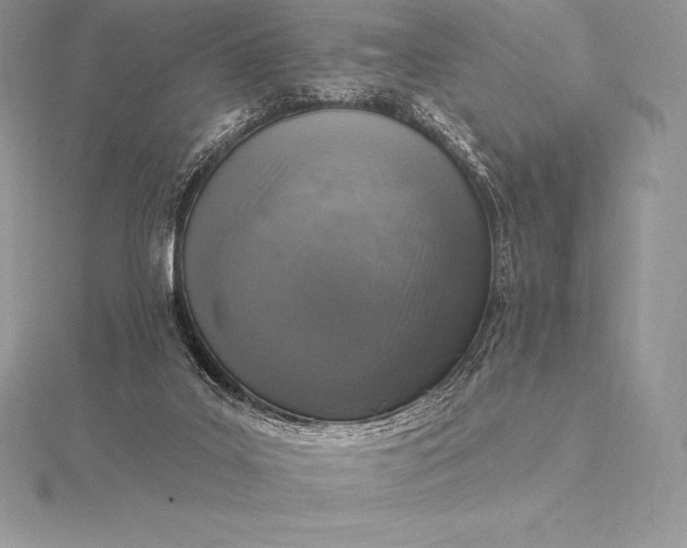 X0000115550019200911201810