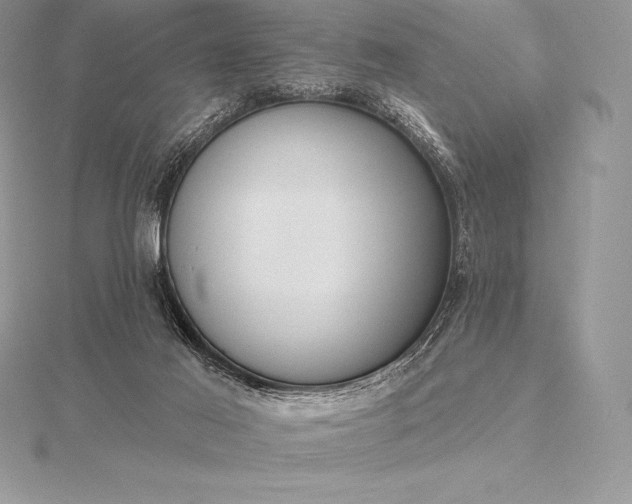 X0000115550021200911201810