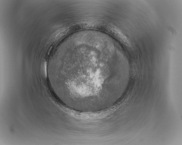 X0000115550022200911201810