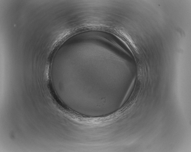 X0000115550023200911201810