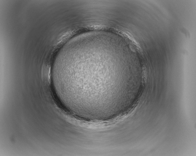 X0000115550024200911201810