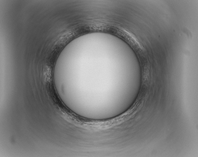 X0000115550025200911201810