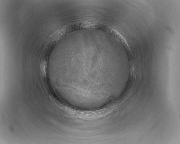 X0000115550026200911201810