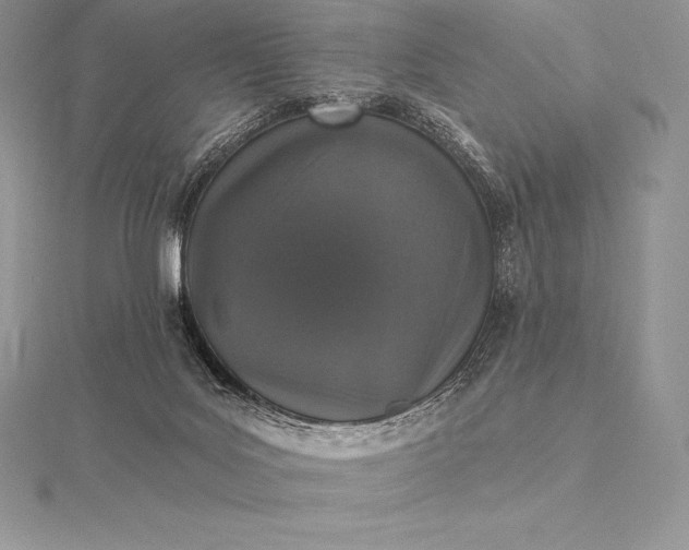 X0000115550027200911201810