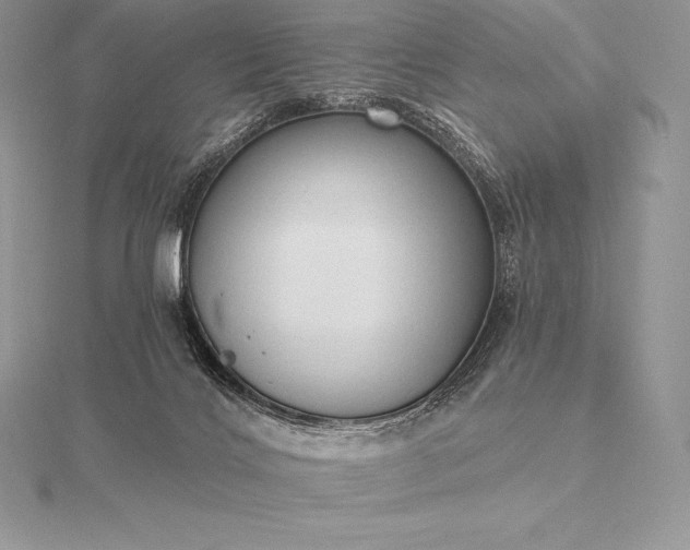 X0000115550028200911201810