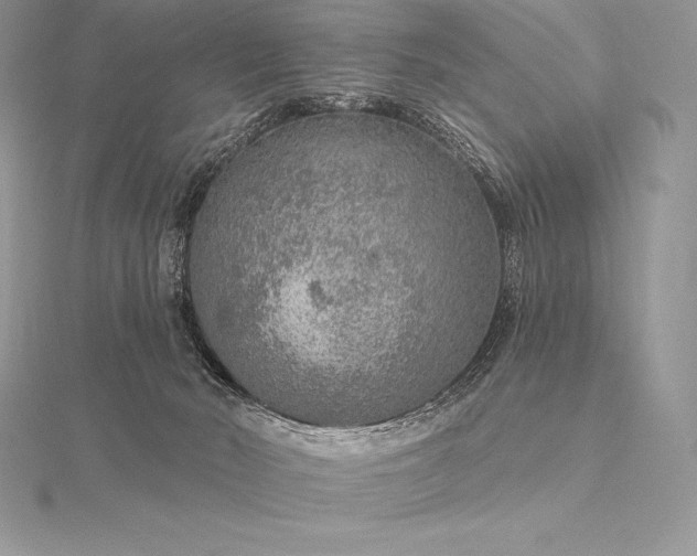 X0000115550030200911201810