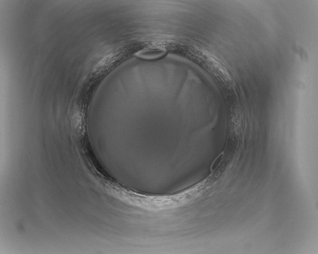 X0000115550031200911201810