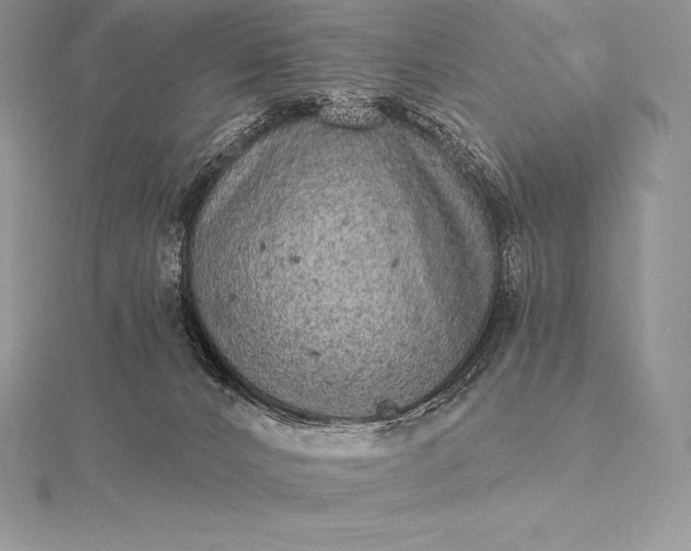 X0000115550032200911201810