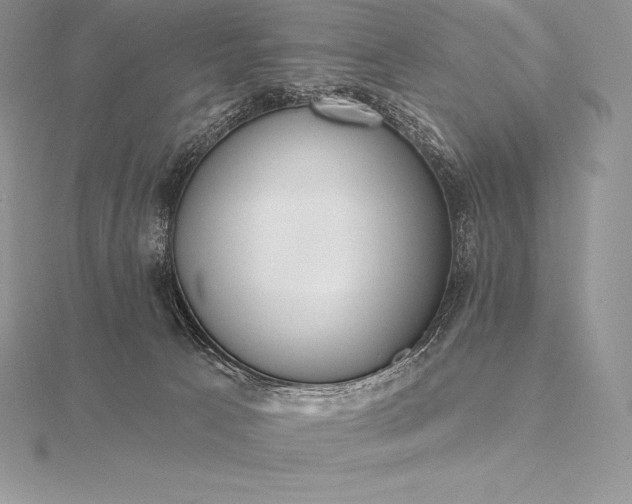 X0000115550033200911201810