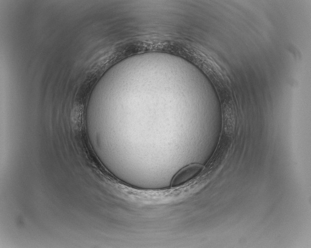 X0000115550034200911201810