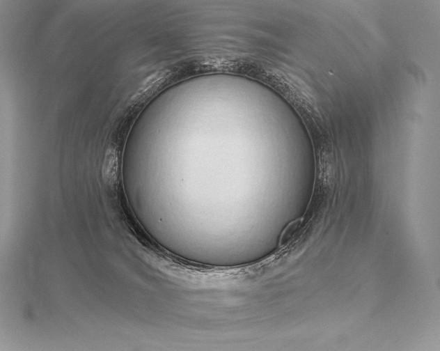 X0000115550036200911201810