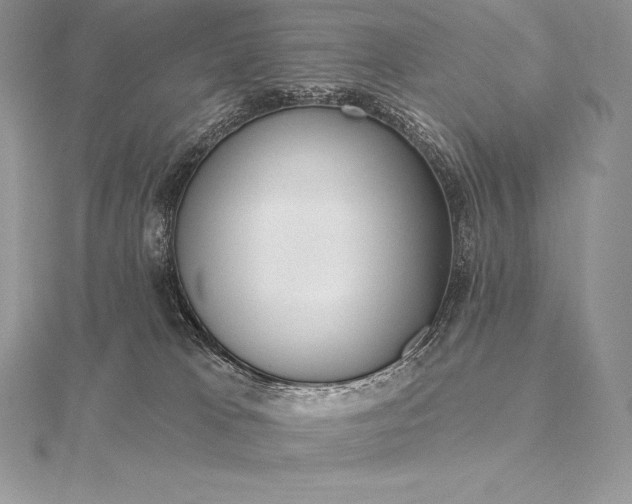 X0000115550037200911201810