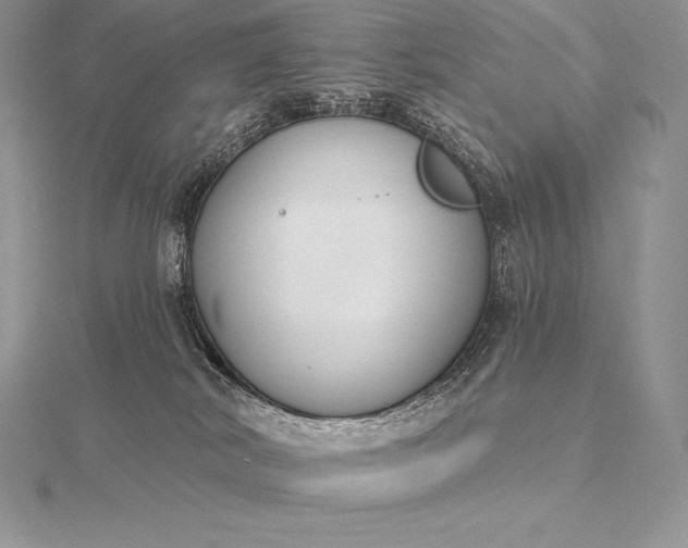 X0000115550038200911201810