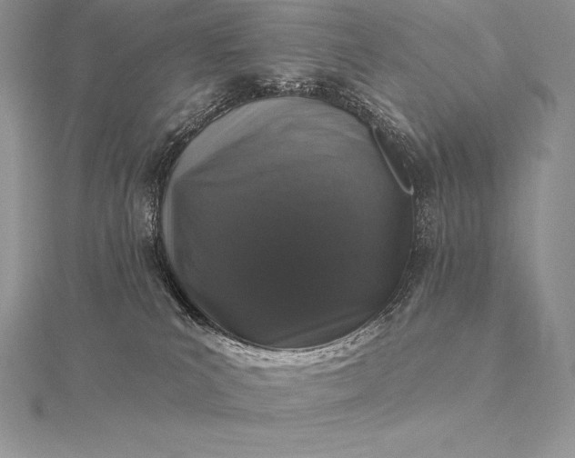 X0000115550039200911201810