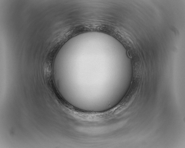 X0000115550040200911201810