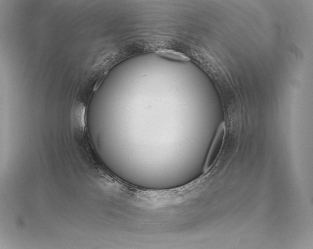 X0000115550041200911201810