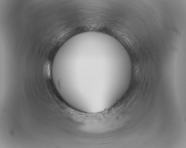 X0000115550042200911201810