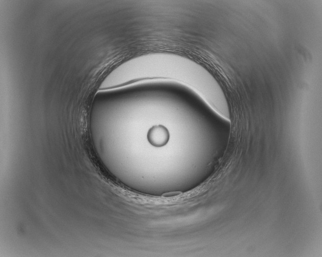 X0000115550043200911201810