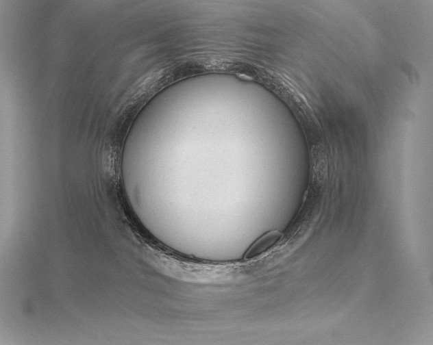 X0000115550044200911201810