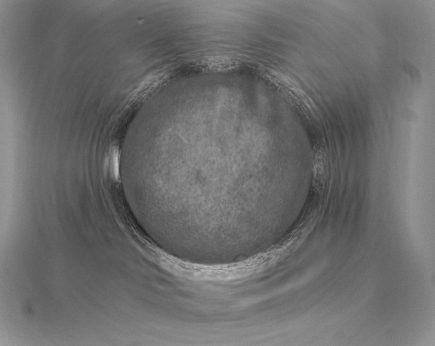 X0000115550046200911201810