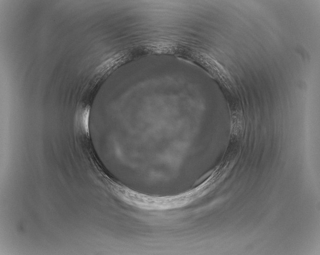 X0000115550047200911201810