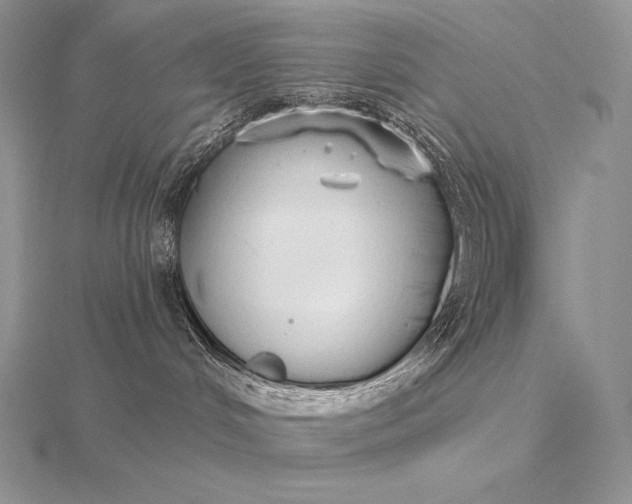 X0000115550048200911201810