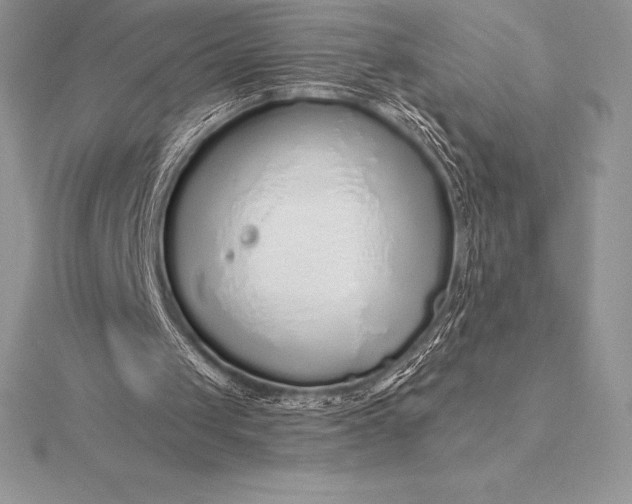 X0000115550049200911201809